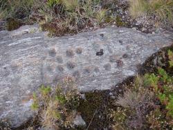 Coviñas ou cazoletas ógmicas en Castrelo